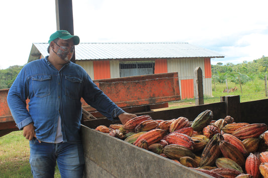 ASSOCIATION DES PRODUCTEURS DE COCOA ASOPROCAF/ASOPROCAF ASSOCIATION COCOA PRODUCERS VALLE DEL GUAMUEZ - PUTUMAYO