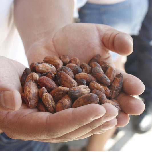 El chocolate y sus porcentajes