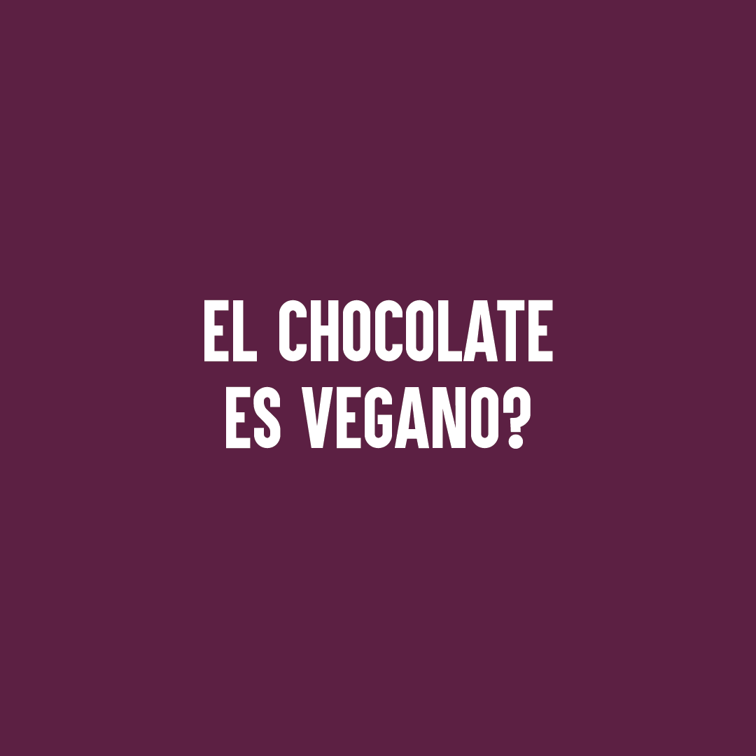 EL CHOCOLATE ES VEGANO?