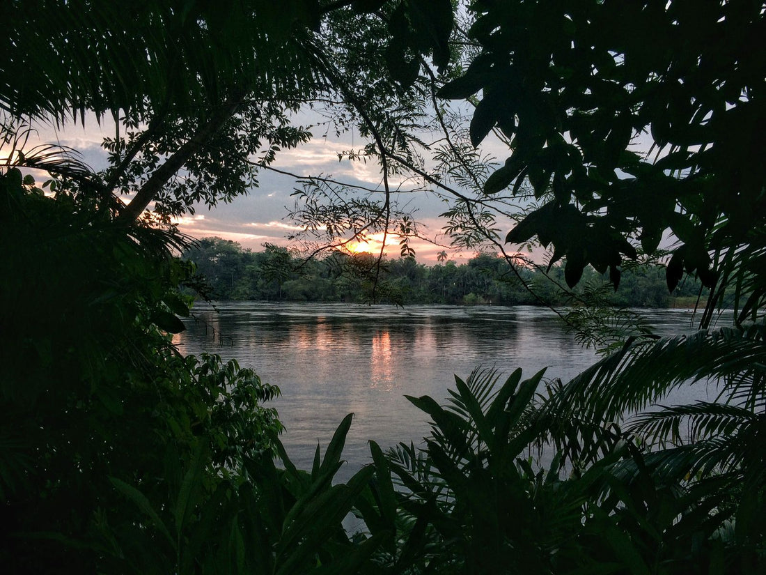 El Mágico Putumayo:  100% chocolate