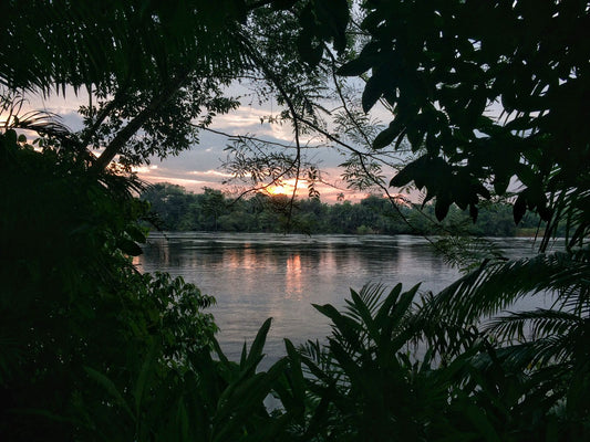 El Mágico Putumayo:  100% chocolate