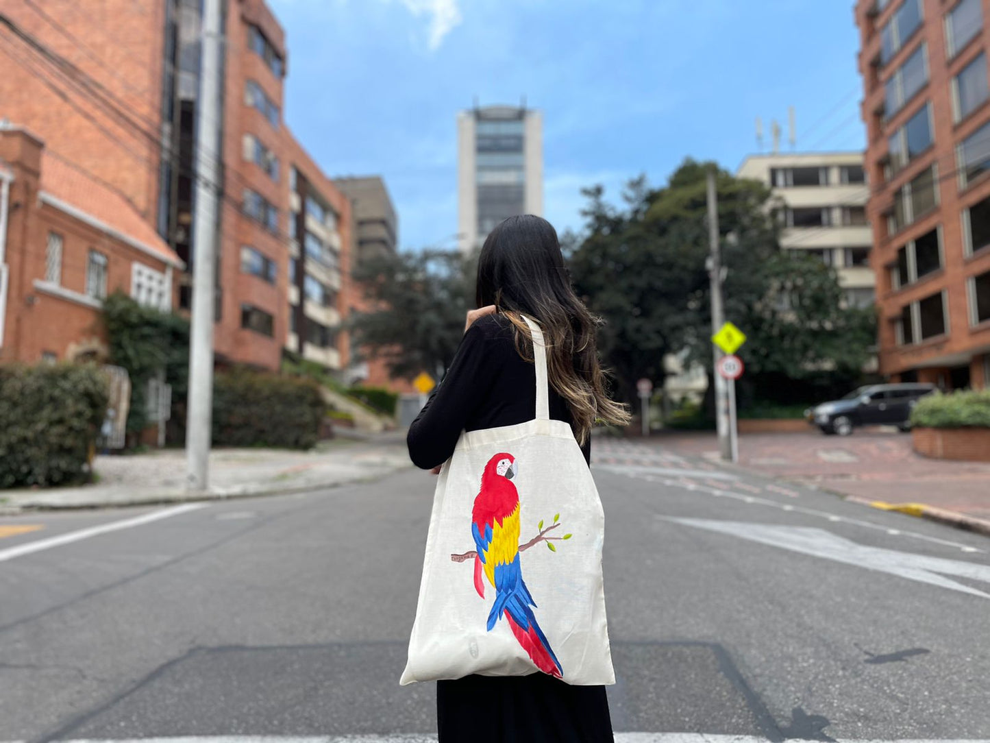 Tote bag - Pintada a mano