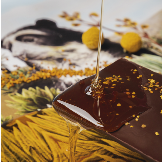 Barra de chocolate 80% con Polen